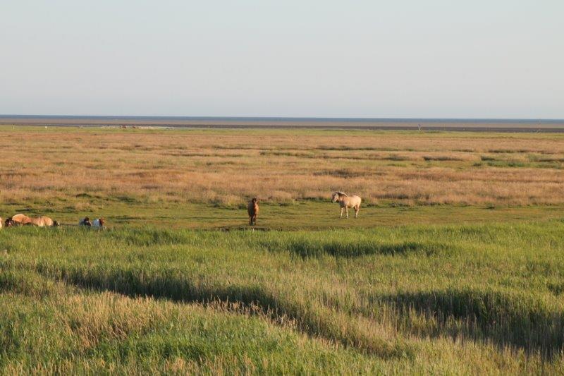 Schliessen von IMG_1760.jpg