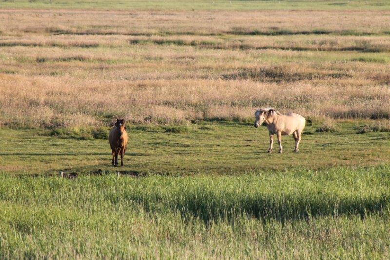 Schliessen von IMG_1761.jpg