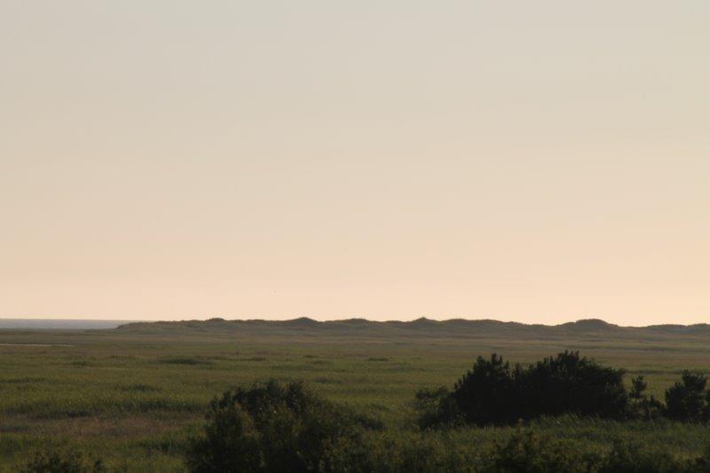 Schliessen von IMG_1763.jpg