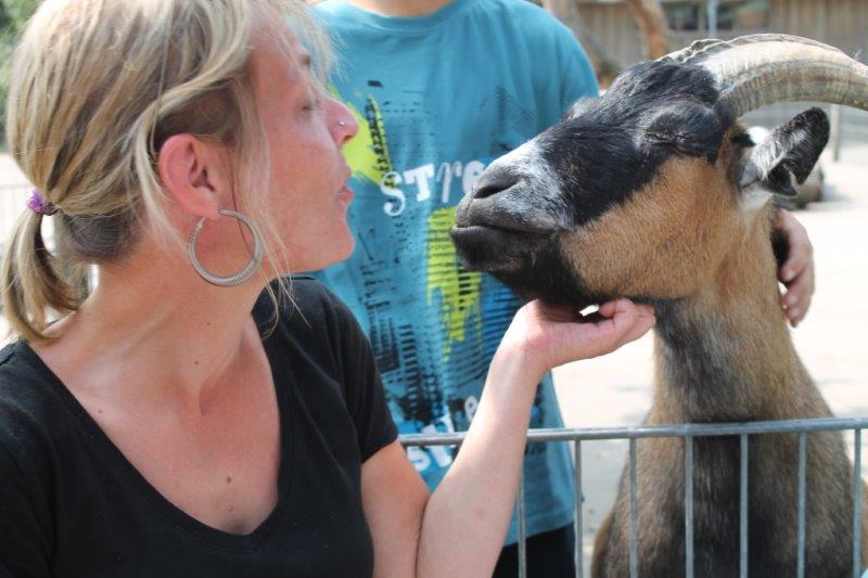 Schliessen von IMG_1942.jpg