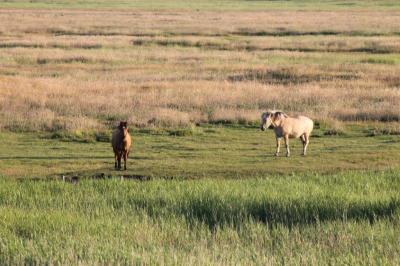Klick f&uuml;r Originalgr&ouml;&szlig;e :IMG_1761.jpg