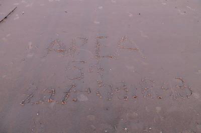 Klick f&uuml;r Originalgr&ouml;&szlig;e :IMG_2101.jpg