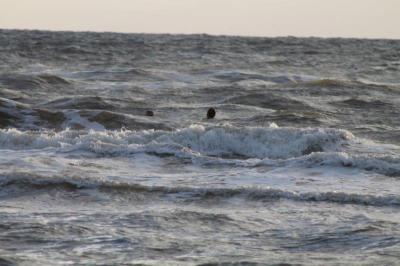 Klick f&uuml;r Originalgr&ouml;&szlig;e :IMG_2232.jpg