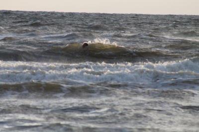 Klick f&uuml;r Originalgr&ouml;&szlig;e :IMG_2234.jpg